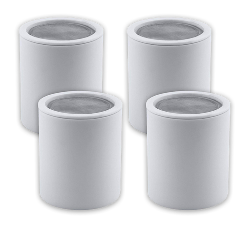 4 FREE Replacement Filters (250 Days)